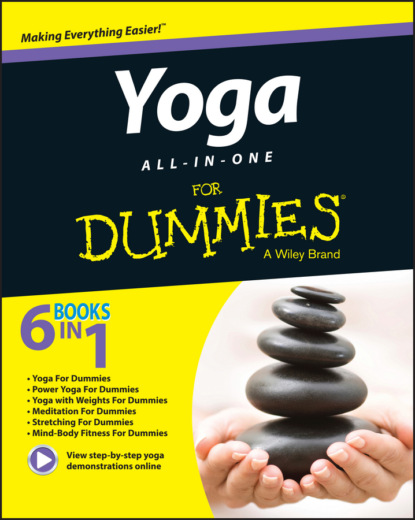 Скачать книгу Yoga All-In-One For Dummies