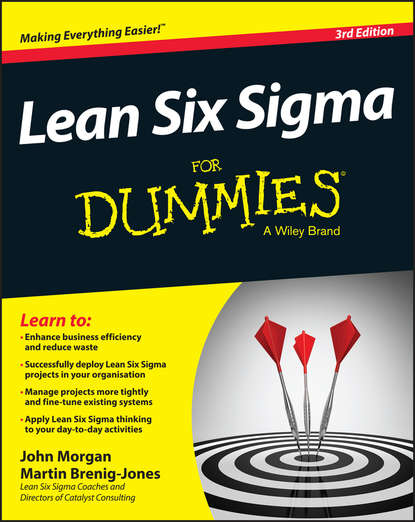 Скачать книгу Lean Six Sigma For Dummies