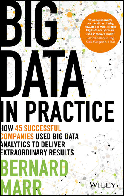 Скачать книгу Big Data in Practice. How 45 Successful Companies Used Big Data Analytics to Deliver Extraordinary Results
