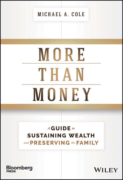 Скачать книгу More Than Money. A Guide To Sustaining Wealth and Preserving the Family
