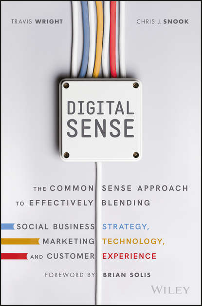 Скачать книгу Digital Sense. The Common Sense Approach to Effectively Blending Social Business Strategy, Marketing Technology, and Customer Experience