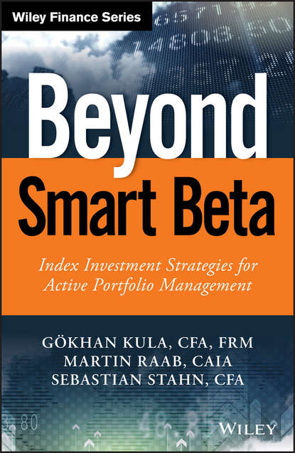 Скачать книгу Beyond Smart Beta. Index Investment Strategies for Active Portfolio Management