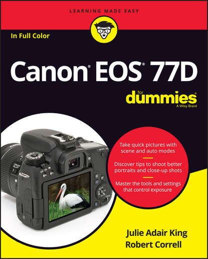 Скачать книгу Canon EOS 77D For Dummies