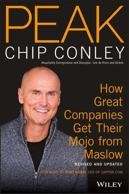 Скачать книгу PEAK. How Great Companies Get Their Mojo from Maslow Revised and Updated