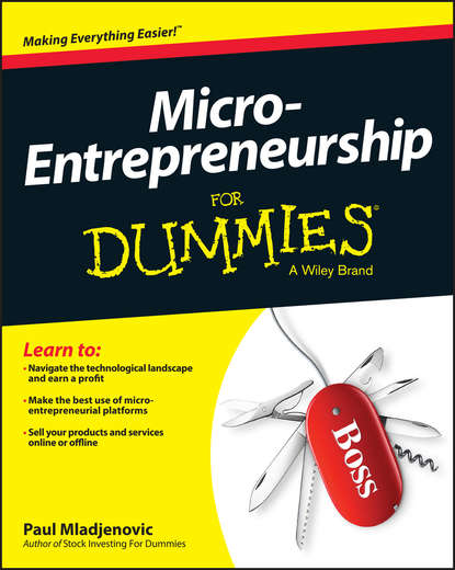 Скачать книгу Micro-Entrepreneurship For Dummies