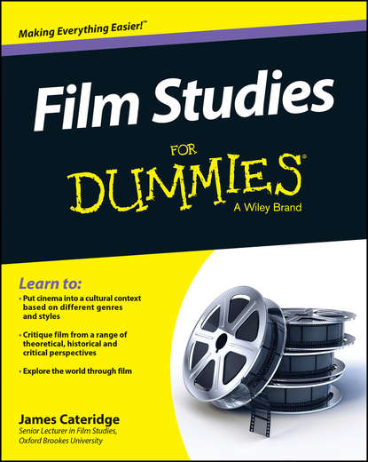 Скачать книгу Film Studies For Dummies