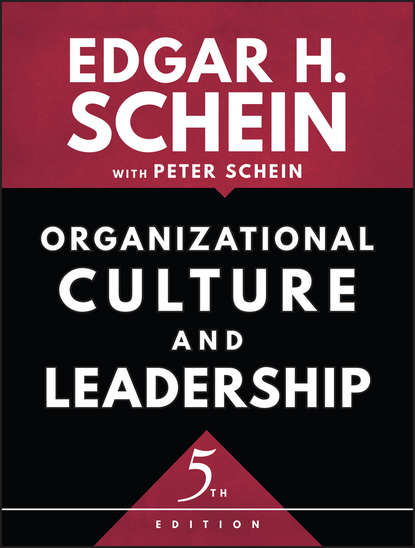 Скачать книгу Organizational Culture and Leadership