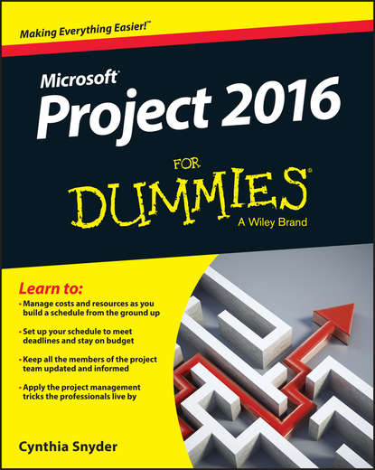 Скачать книгу Project 2016 For Dummies
