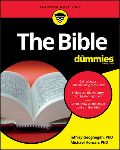 Скачать книгу The Bible For Dummies
