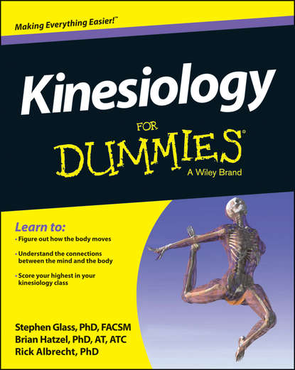 Скачать книгу Kinesiology For Dummies