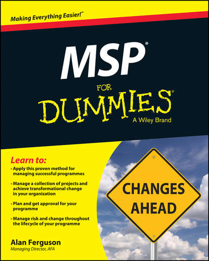 Скачать книгу MSP For Dummies
