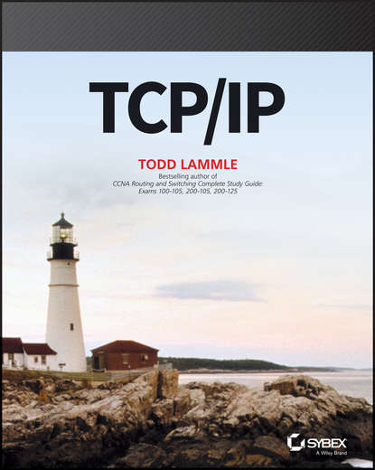 Скачать книгу TCP / IP