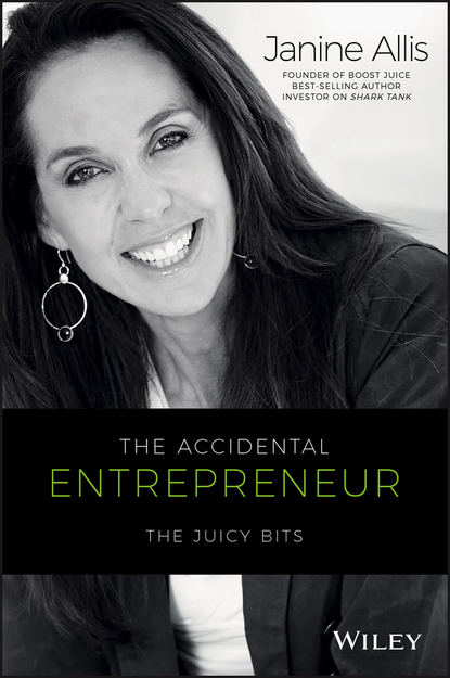 Скачать книгу The Accidental Entrepreneur. The Juicy Bits