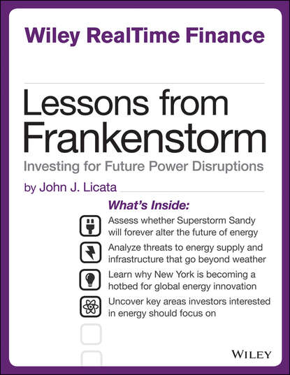 Скачать книгу Lessons from Frankenstorm. Investing for Future Power Disruptions