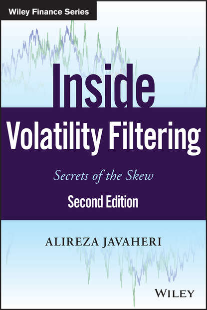 Скачать книгу Inside Volatility Filtering. Secrets of the Skew