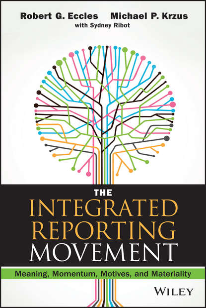 Скачать книгу The Integrated Reporting Movement. Meaning, Momentum, Motives, and Materiality