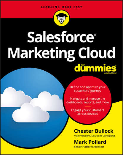 Скачать книгу Salesforce Marketing Cloud For Dummies