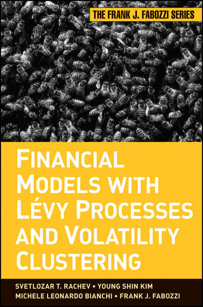 Скачать книгу Financial Models with Levy Processes and Volatility Clustering