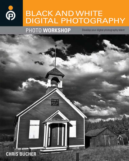 Скачать книгу Black and White Digital Photography Photo Workshop