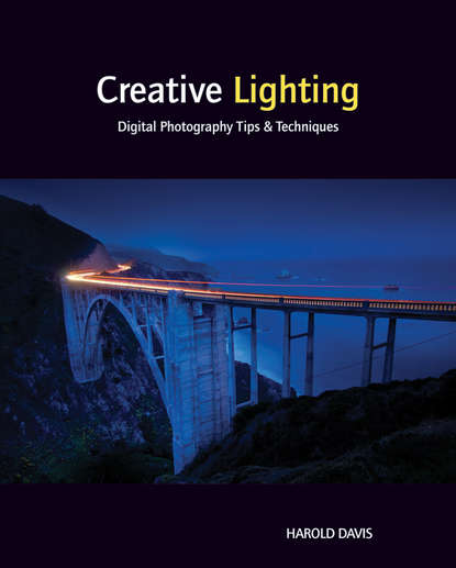 Скачать книгу Creative Lighting. Digital Photography Tips and Techniques