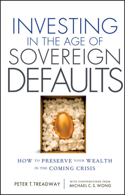 Скачать книгу Investing in the Age of Sovereign Defaults. How to Preserve your Wealth in the Coming Crisis