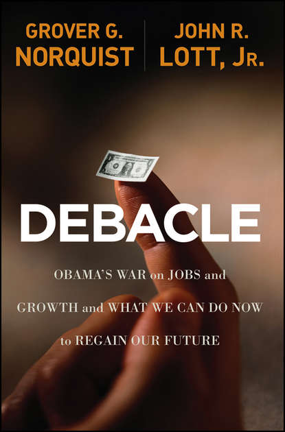 Скачать книгу Debacle. Obama's War on Jobs and Growth and What We Can Do Now to Regain Our Future