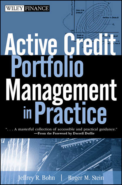 Скачать книгу Active Credit Portfolio Management in Practice