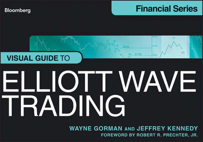 Скачать книгу Visual Guide to Elliott Wave Trading