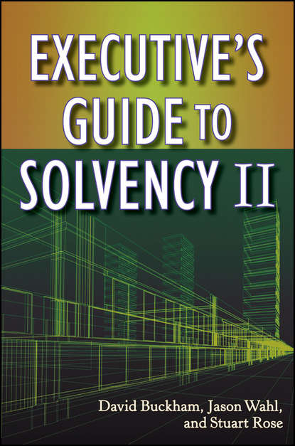 Скачать книгу Executive's Guide to Solvency II