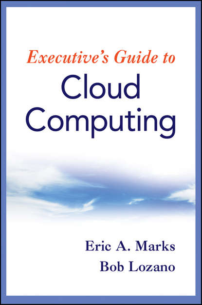 Скачать книгу Executive's Guide to Cloud Computing