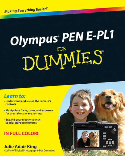 Скачать книгу Olympus PEN E-PL1 For Dummies