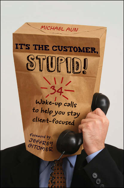 Скачать книгу It's the Customer, Stupid!. 34 Wake-up Calls to Help You Stay Client-Focused