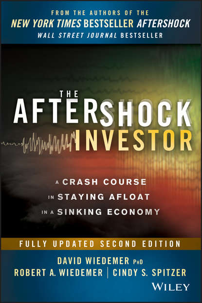 Скачать книгу The Aftershock Investor. A Crash Course in Staying Afloat in a Sinking Economy