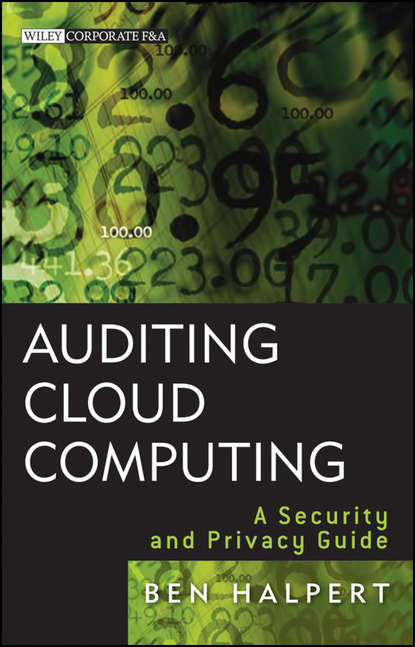 Скачать книгу Auditing Cloud Computing. A Security and Privacy Guide