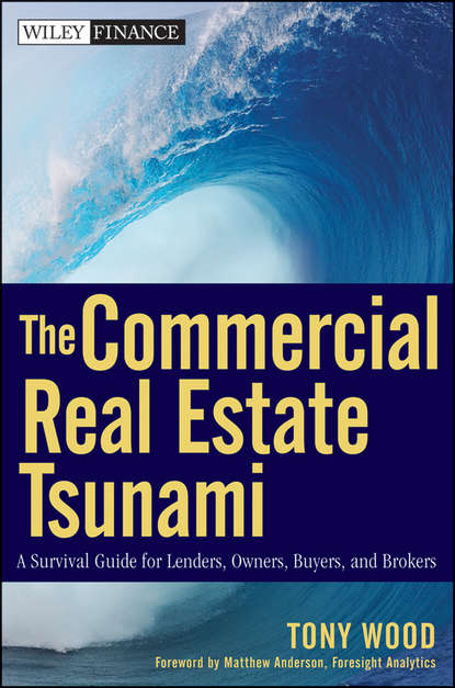 Скачать книгу The Commercial Real Estate Tsunami. A Survival Guide for Lenders, Owners, Buyers, and Brokers