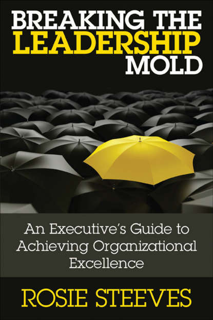 Скачать книгу Breaking the Leadership Mold. An Executive's Guide to Achieving Organizational Excellence