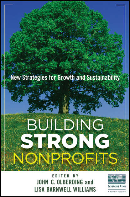 Скачать книгу Building Strong Nonprofits. New Strategies for Growth and Sustainability