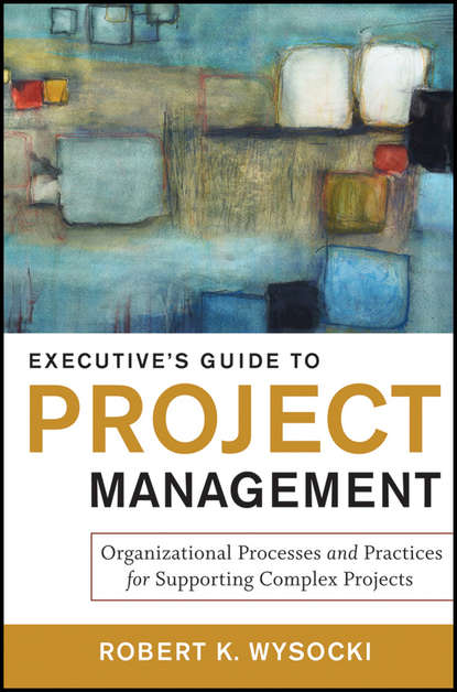 Скачать книгу Executive's Guide to Project Management. Organizational Processes and Practices for Supporting Complex Projects