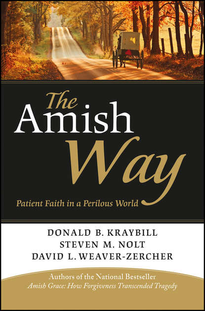 Скачать книгу The Amish Way. Patient Faith in a Perilous World