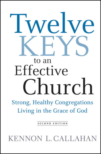 Скачать книгу Twelve Keys to an Effective Church. Strong, Healthy Congregations Living in the Grace of God