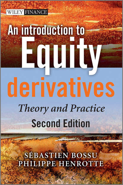 Скачать книгу An Introduction to Equity Derivatives. Theory and Practice