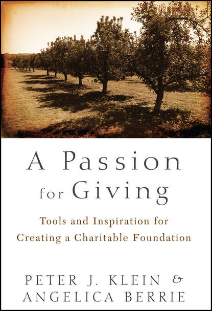 Скачать книгу A Passion for Giving. Tools and Inspiration for Creating a Charitable Foundation