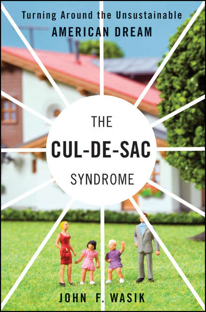 Скачать книгу The Cul-de-Sac Syndrome. Turning Around the Unsustainable American Dream