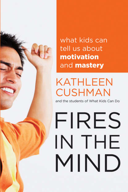 Скачать книгу Fires in the Mind. What Kids Can Tell Us About Motivation and Mastery