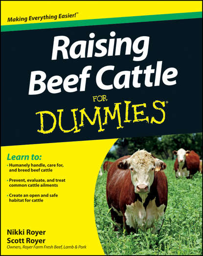 Скачать книгу Raising Beef Cattle For Dummies