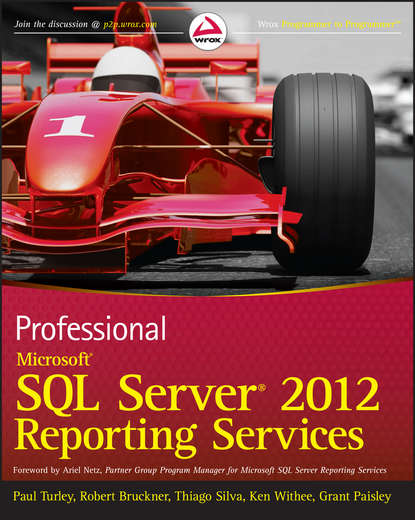 Скачать книгу Professional Microsoft SQL Server 2012 Reporting Services