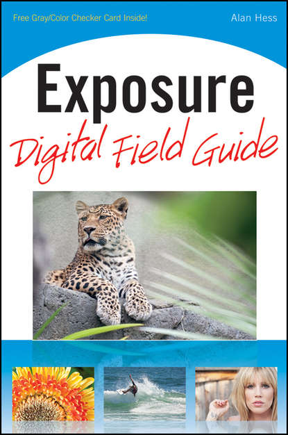 Скачать книгу Exposure Digital Field Guide