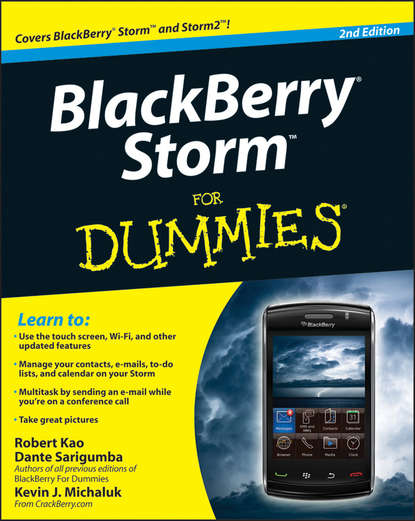 Скачать книгу BlackBerry Storm For Dummies
