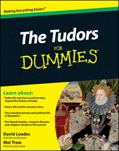 Скачать книгу The Tudors For Dummies