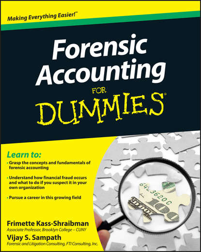 Скачать книгу Forensic Accounting For Dummies